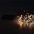 LED LIGHT CHAIN BLACK CLUSTER 100 LAMPS