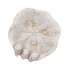 CONCRETE ANTIQUE BIRD BOWL LEAF BIRDS 20X20X10CM NM