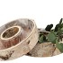 NATURE BIRCH PLANTER ROUND S/2 30&35CM