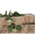 NATURE BIRCH PLANTER RECTANGLE S/2 30X8X7 / 45X12X9CM