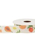 RIBBON FRUIT 10MX25MM NM