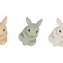 FARM NATURE MIX RABBIT BELLY ASS 12X8X11CM NM
