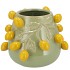 FRUIT LEMON PISTACHE POT 24X19CM NM