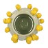 FRUIT LEMON PISTACHE POT 24X19CM NM