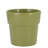 CERAMIC AMAZONE GREEN POT ORCHID EDGE 13CM