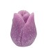 CANDLE TULIP LILA 7X8CM NM
