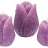 CANDLE TULIP LILA 7X8CM NM
