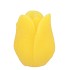 CANDLE TULIP YELLOW 9X11CM NM