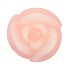 CANDLE TULIP WHITE PINK 9X11CM NM