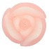 CANDLE TULIP WHITE PINK10X13CM NM