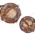 WICKER ELM BRANCHES BROWN EGG BASKET S/2 NM