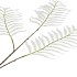 SILK PALM LEAF WHITE 87CM NM