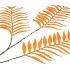 SILK PALM LEAF ORANGE 87CM NM