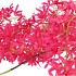 SILK WISTERIA PINK 130CM