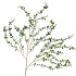 SILK EUCALYPTUS HANGING GREEN 89CM NM