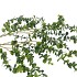 SILK EUCALYPTUS HANGING GREEN 89CM NM