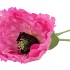 SILK POPPY 2X PINK 70CM