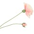 SILK POPPY 2X LIGHT PINK 70CM
