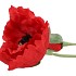 SILK POPPY 2X RED 70CM