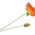 SILK POPPY 2X ORANGE 70CM