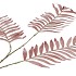 SILK PALM LEAF DUSTY PINK  87CM NM