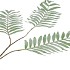 SILK PALM LEAF DUSTY GREEN  87CM NM