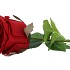 SILK ROSE REAL TOUCH RED 43CM