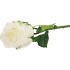 SILK ROSE REAL TOUCH WHITE 43CM