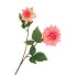 SILK DAHLIA 2X PEACH/PINK REAL TOUCH 60CM