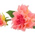 SILK DAHLIA 2X PEACH/PINK REAL TOUCH 60CM