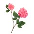 SILK DAHLIA 2X PINK REAL TOUCH 60CM