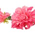 SILK DAHLIA 2X PINK REAL TOUCH 60CM