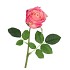 SILK ROSE REAL TOUCH PINK 43CM