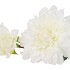 SILK DAHLIA 2X WHITE REAL TOUCH 60CM