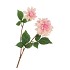 SILK DAHLIA 2X LIGHT PINK REAL TOUCH 60CM