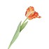 SILK TULIP PAPAGAYO ORANGE/YELLOW 64CM