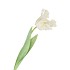 SILK TULIP PAPAGAYO WHITE 64CM