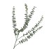 SILK EUCALYPTUS GREEN 77CM