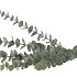 SILK EUCALYPTUS GREEN 77CM