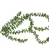 SILK SUCCULENT HANGING 55CM