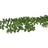 SILK SUCCULENT HANGING 55CM