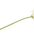 SILK GERBERA WHITE 72CM