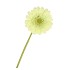 SILK GERBERA LIGHT GREEN 72CM