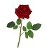 SILK ROSE REAL TOUCH OPEN RED 43CM