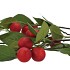 SILK APPLE PLUM CLAUDE RED 90CM NM