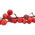 SILK APPLE SENTINEL RED 66CM NM