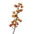 SILK APPLE SENTINEL RED/GREEN 66CM NM