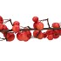 SILK APPLE SENTINEL RED 135CM NM