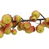 SILK APPLE SENTINEL RED/GREEN 135CM NM