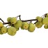 SILK APPLE SENTINEL GREEN 135CM NM